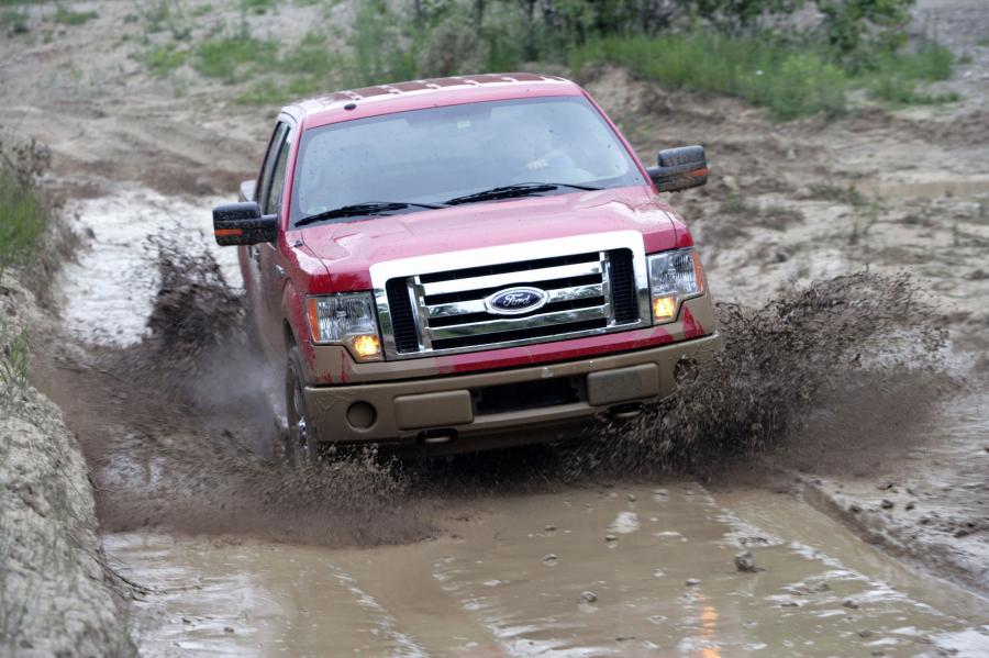  Ford F-150 SuperCrew Cab 2009 года  (фото 14 из 34)